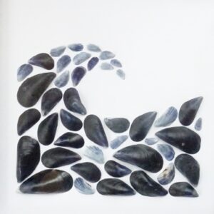 The Wave - Mussel Shell Artwork