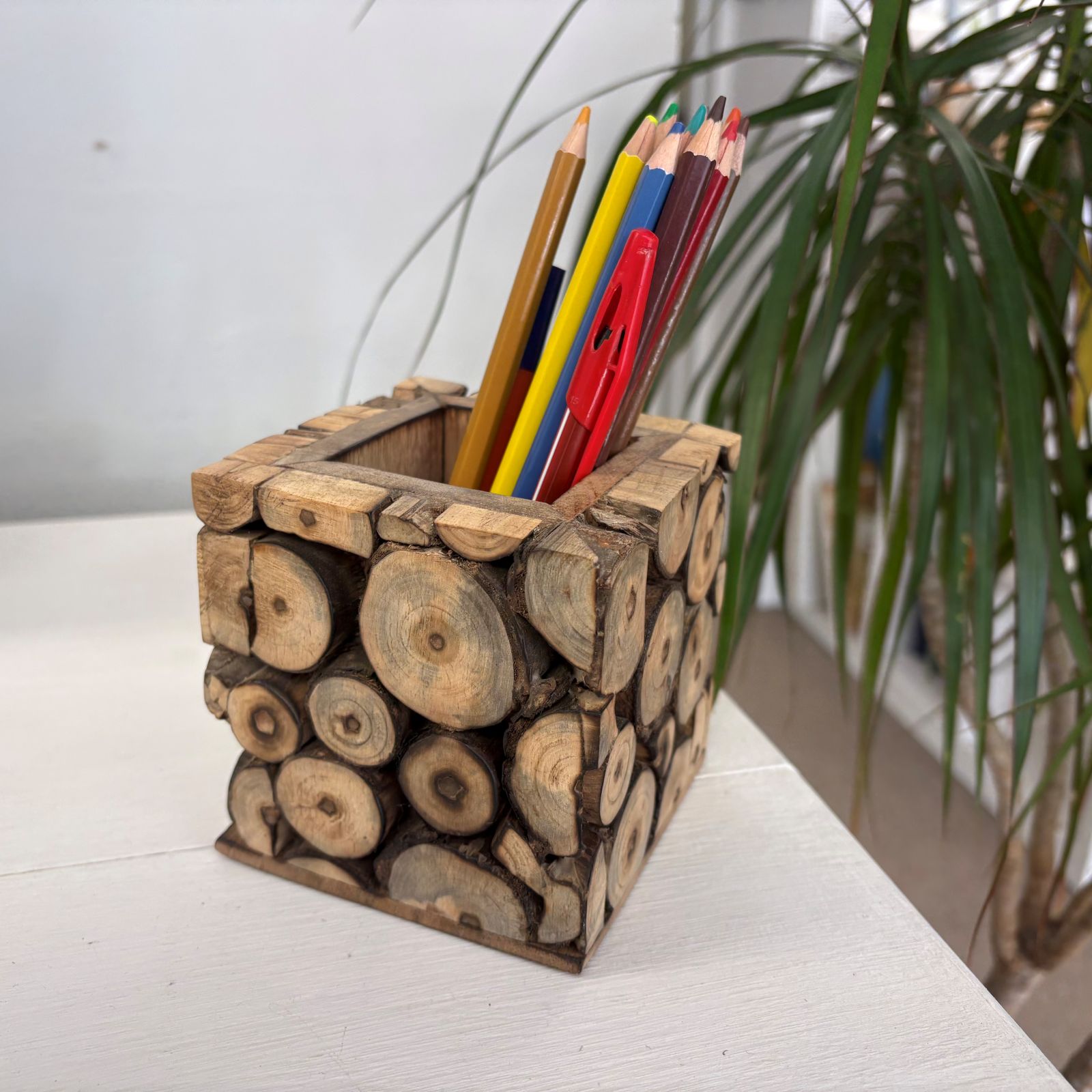 Mango Wood Pen Pot