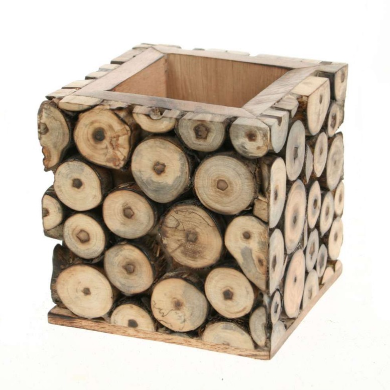 Mango Wooden Pen Pot