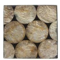 Set of 6 Shell and Resin Coasters