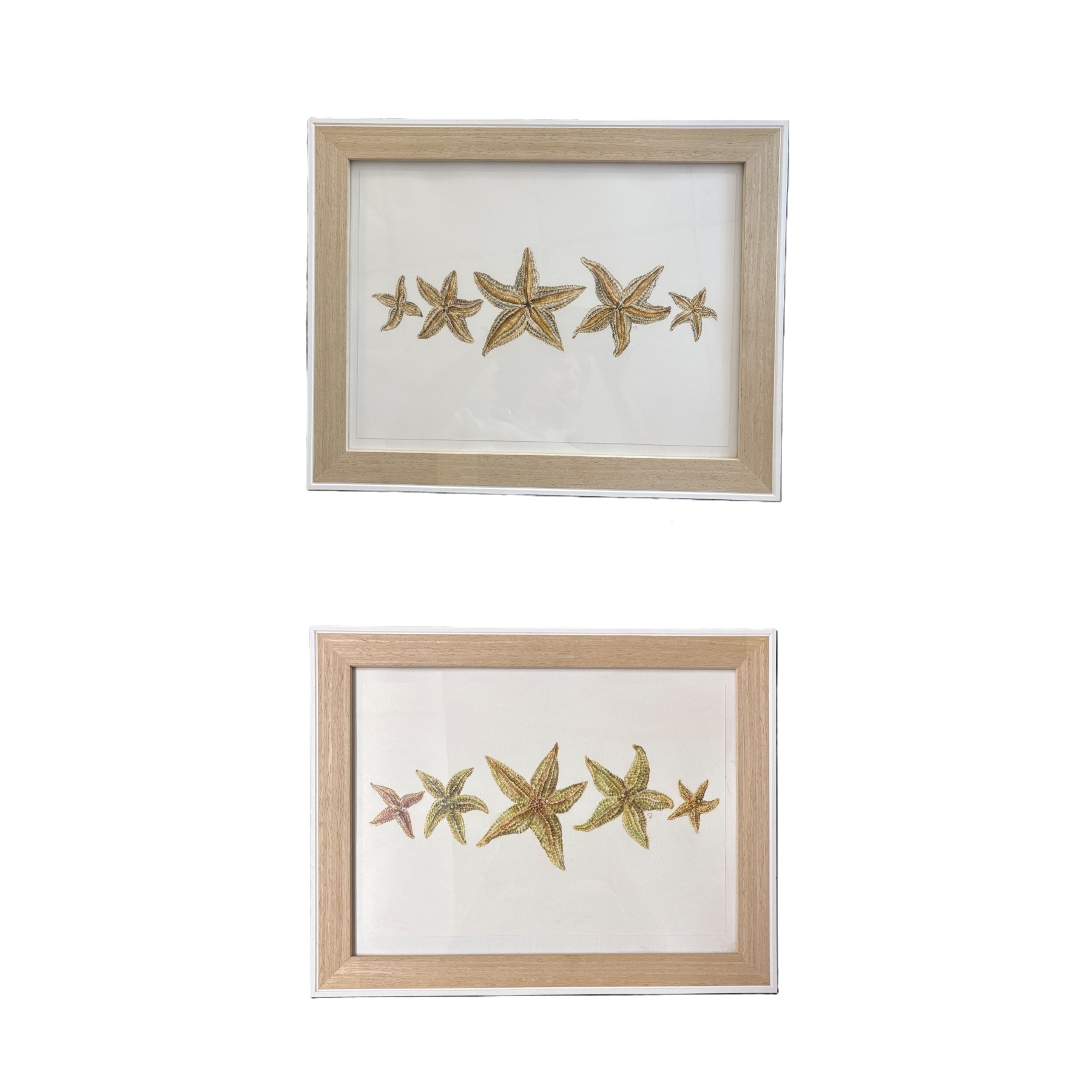 Pair of Original Starfish Painting 1 of each side