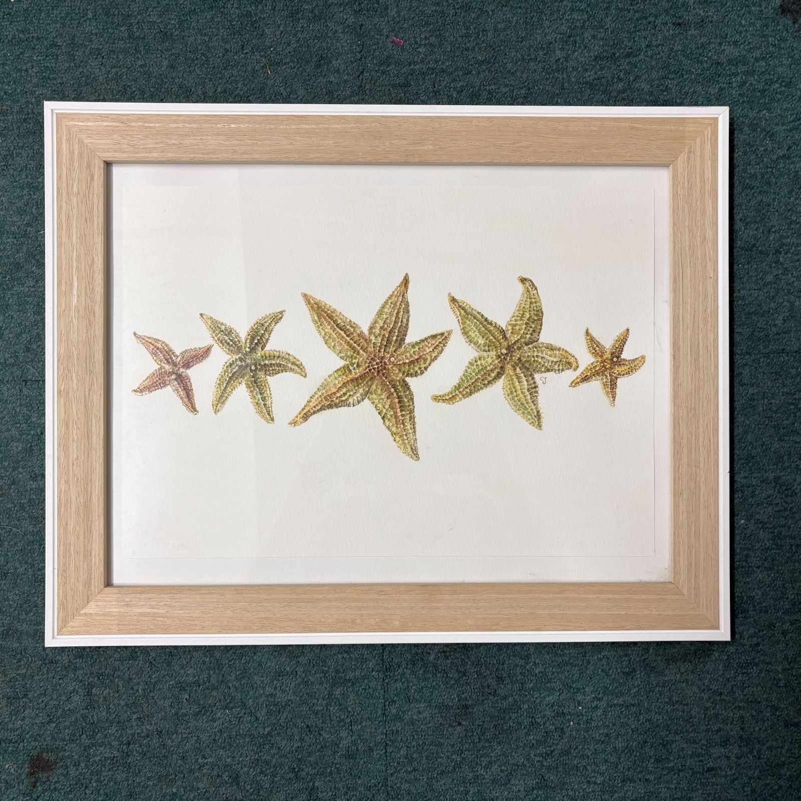 Starfish II Original Watercolour