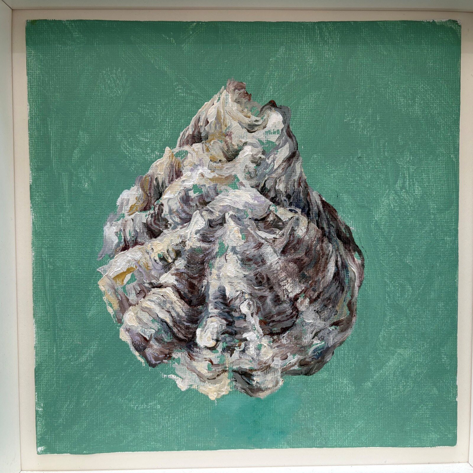 Original Teignmouth Oyster Shells Oil Painting by Clare Jenkinson